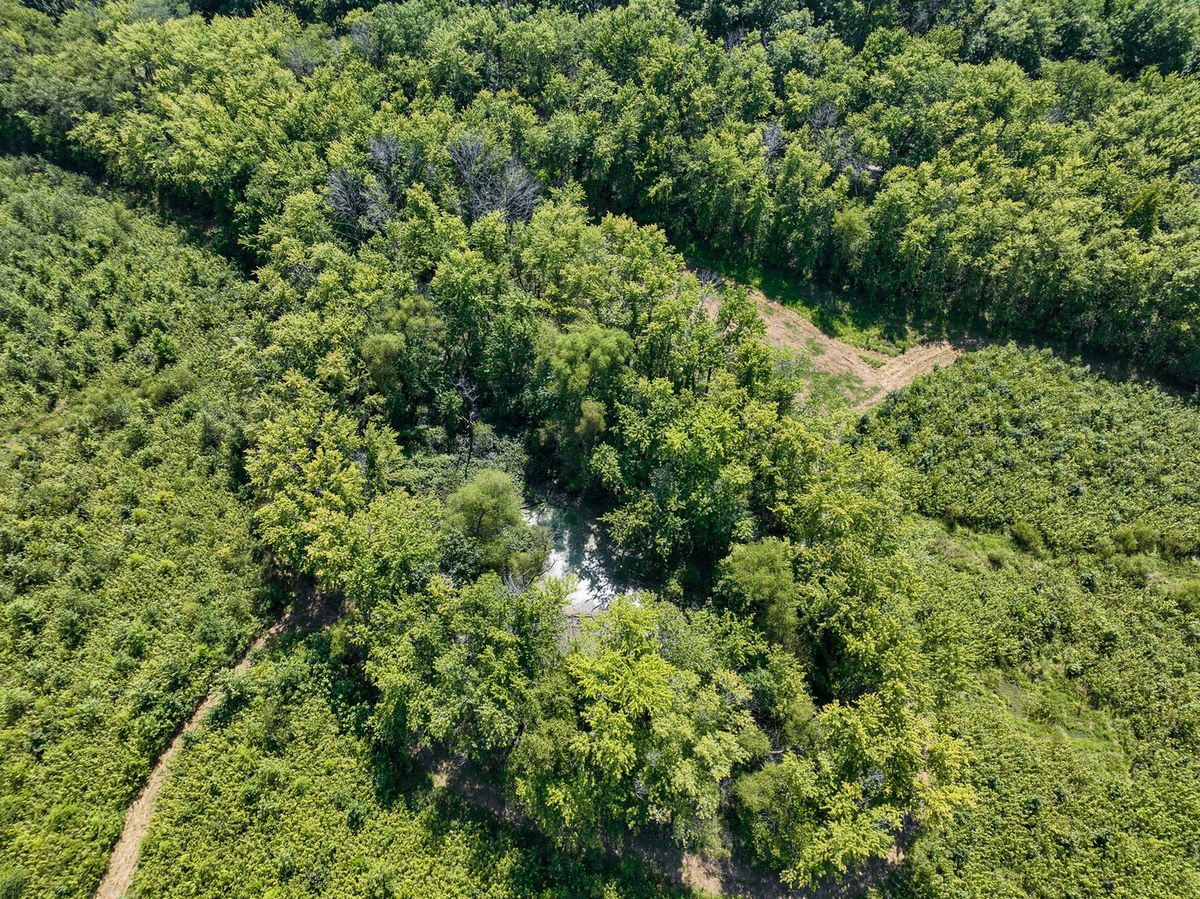 Tract 1 Mint Lane, Clay City, IL 62824