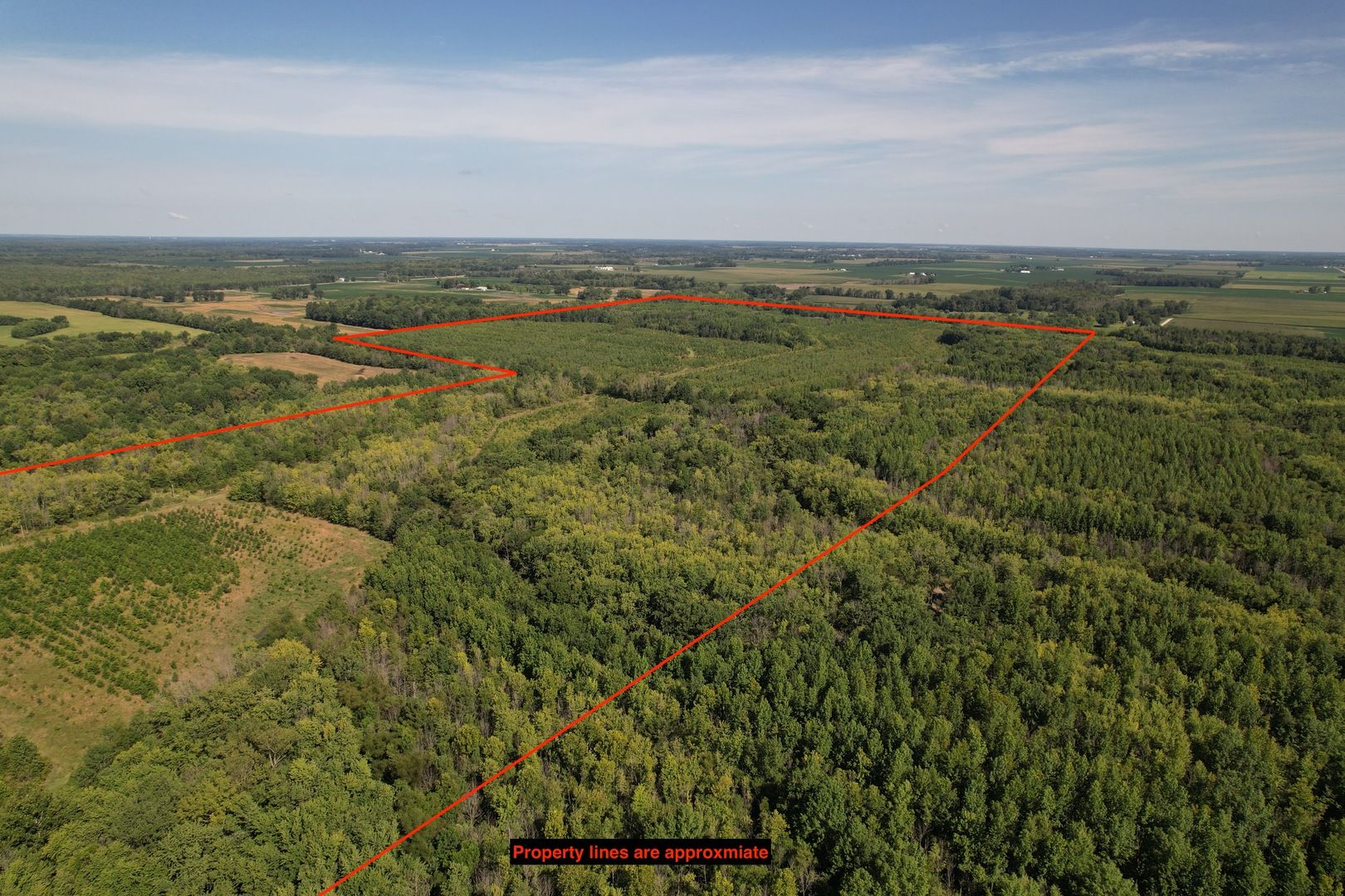 Tract 1 Mint Lane — Clay City, IL 62824
