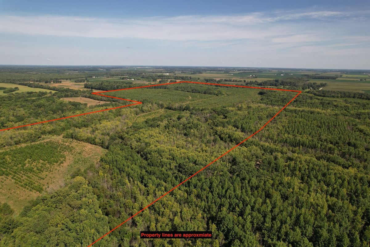 Tract 1 Mint Lane, Clay City, IL 62824