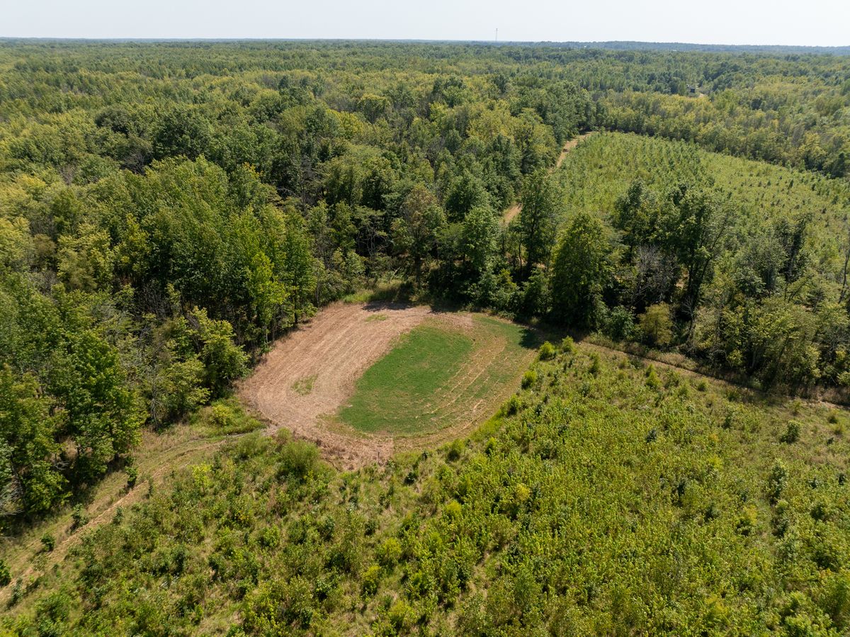 Tract 1 Mint Lane, Clay City, IL 62824