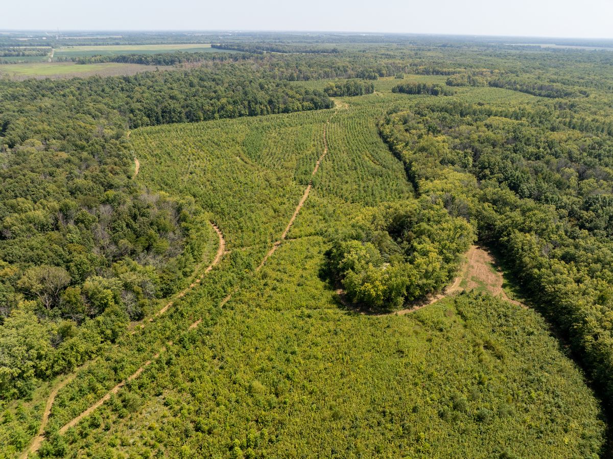 Tract 2 Mint Lane, Clay City, IL 62824