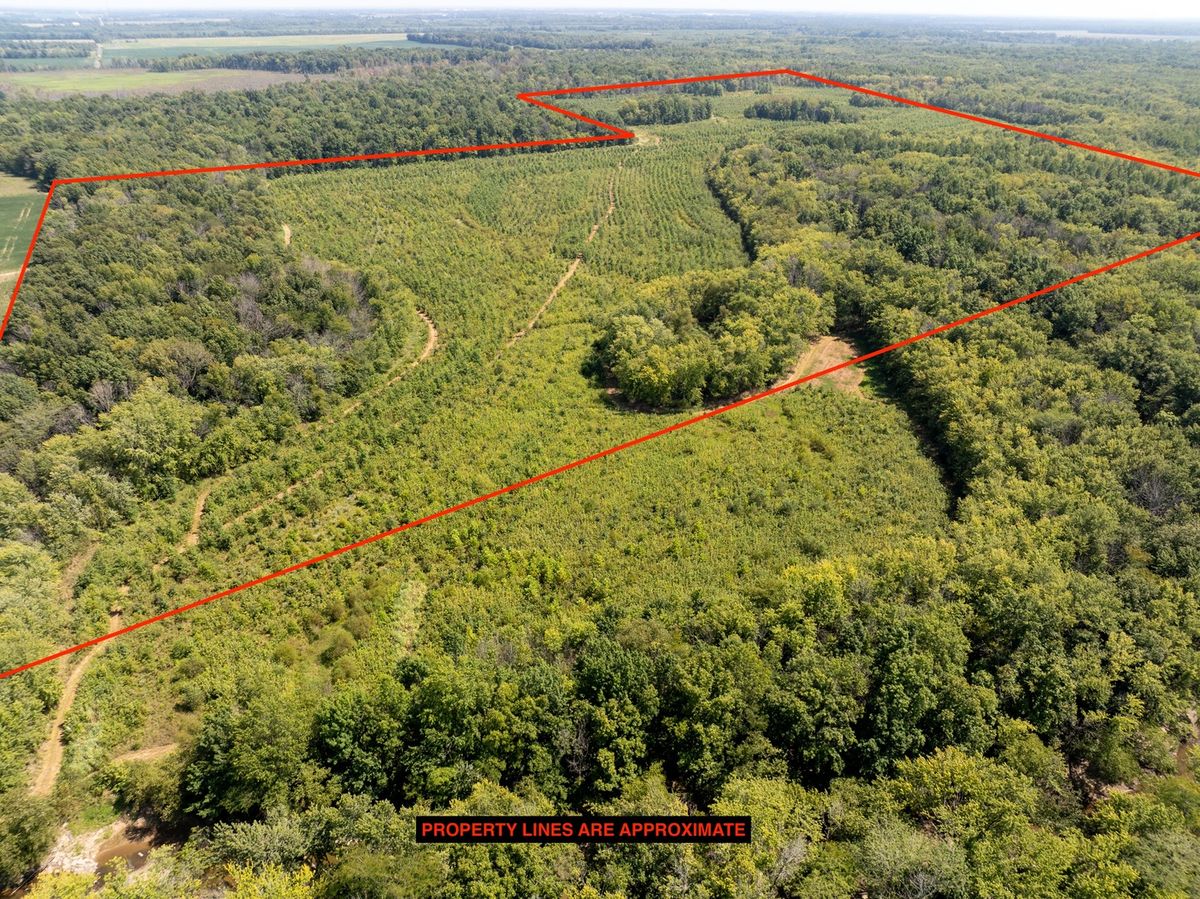 Tract 2 Mint Lane, Clay City, IL 62824