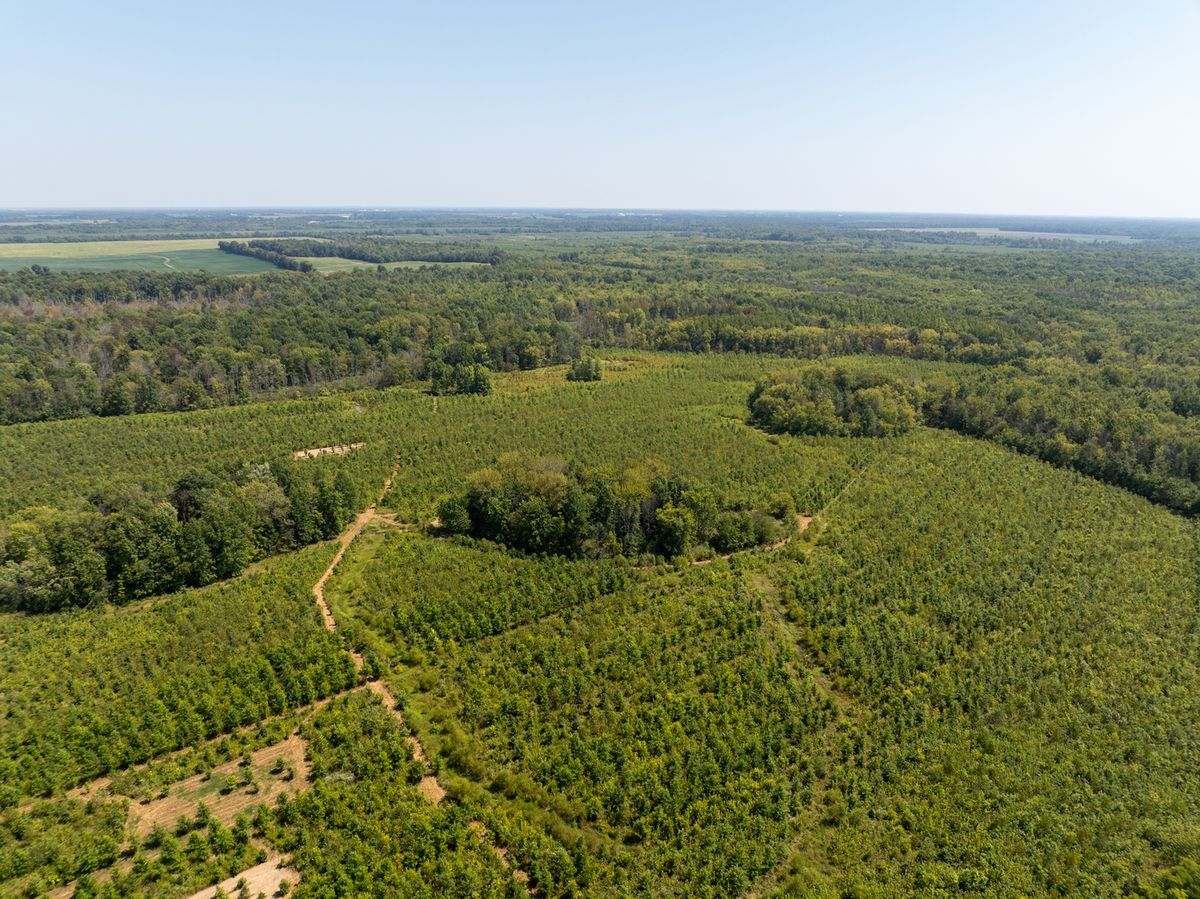 Tract 2 Mint Lane, Clay City, IL 62824