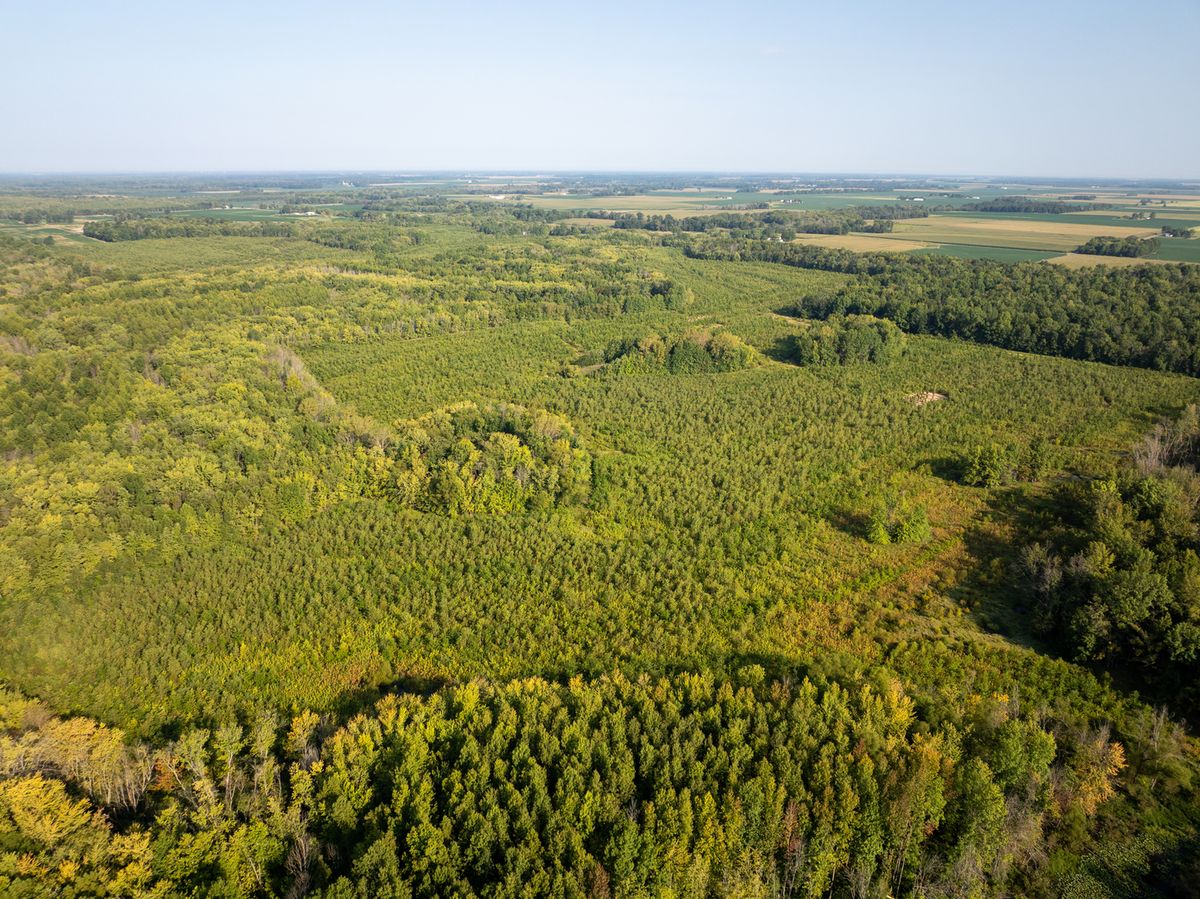 Tract 2 Mint Lane, Clay City, IL 62824