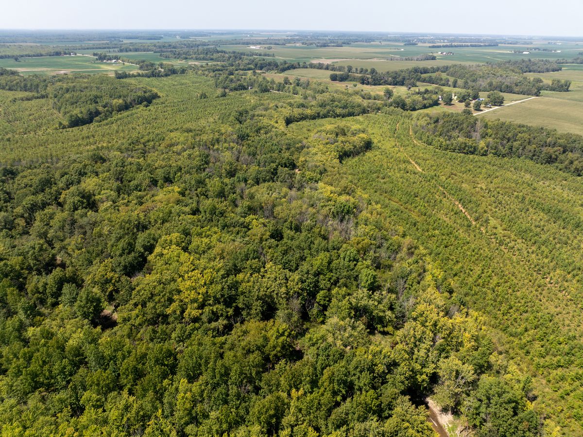 Tract 2 Mint Lane, Clay City, IL 62824