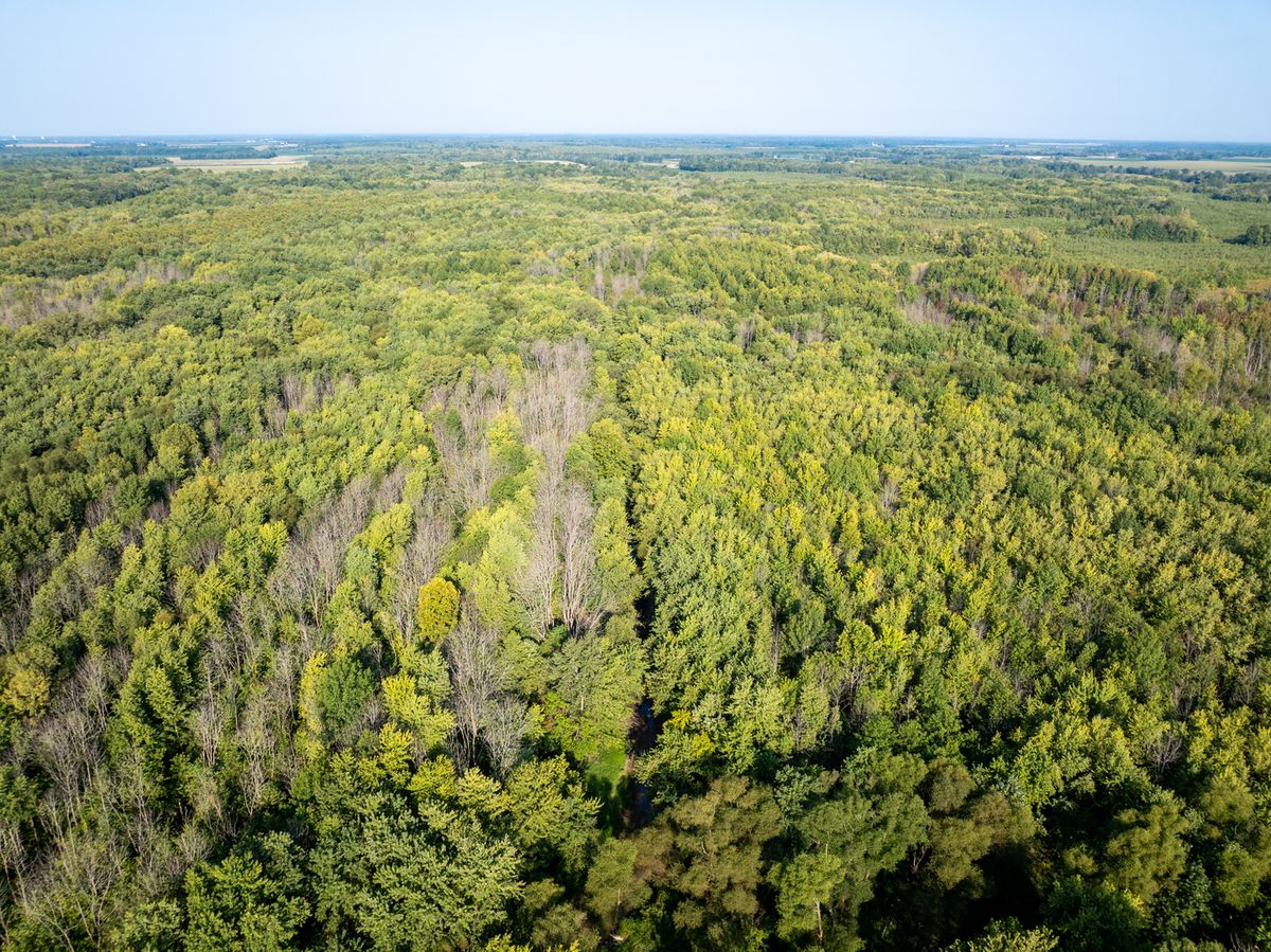 Tract 3 Mayflower Road, Clay City, IL 62824