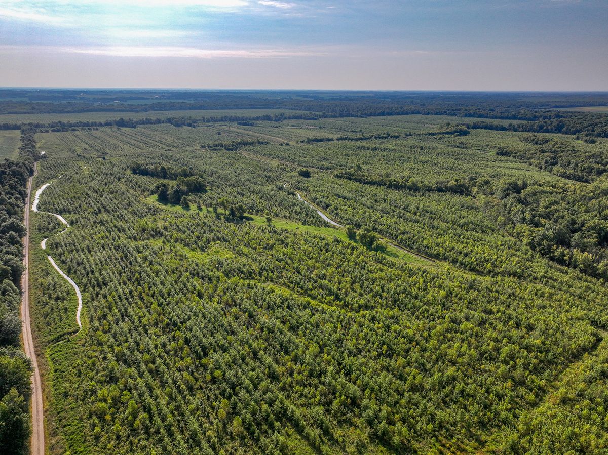 Tract 4 Mayflower Road, Clay City, IL 62824