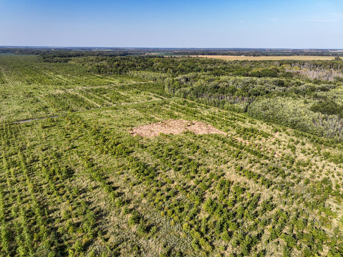 Tract 5 East Radio Tower Road, Clay City, IL 62824