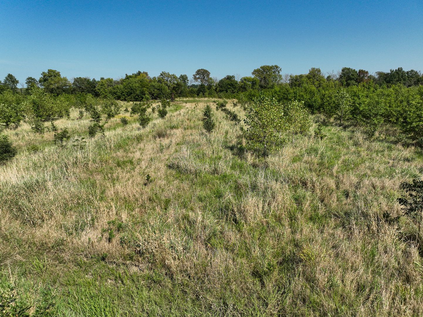 Tract 5 East Radio Tower Road — Clay City, IL 62824