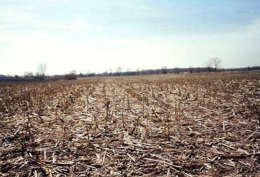 31W255 Roosevelt Road, West Chicago, IL 60185