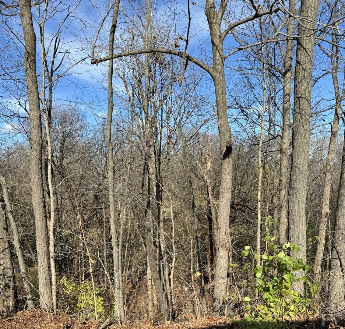 10420 Pickford Avenue, Beach Park, IL 60099