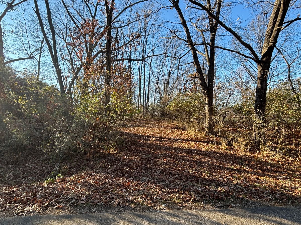 617 Brookside Drive, Varna, IL 61375