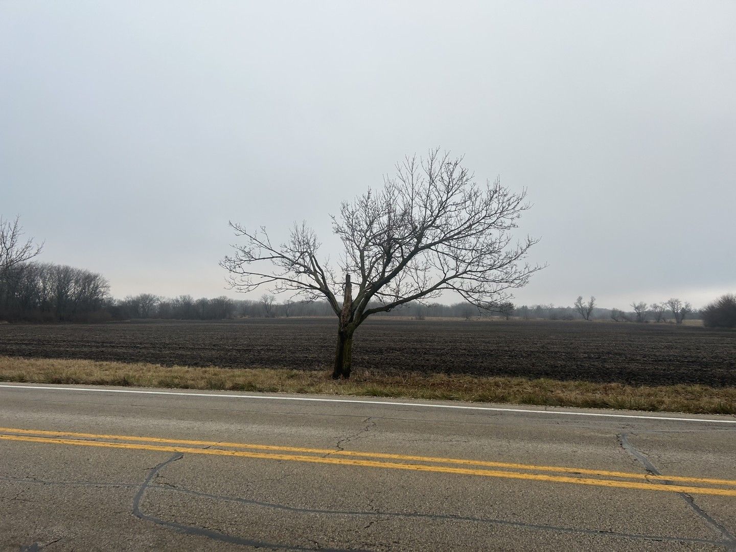 70 acres Galligan Road — Gilberts, IL 60136