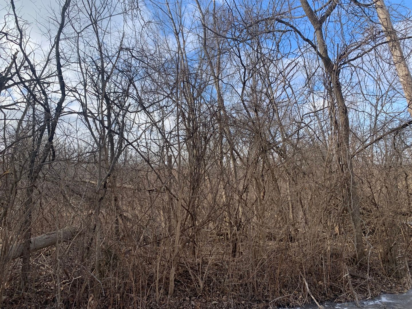 000 Riverside Drive — Crystal Lake, IL 60014