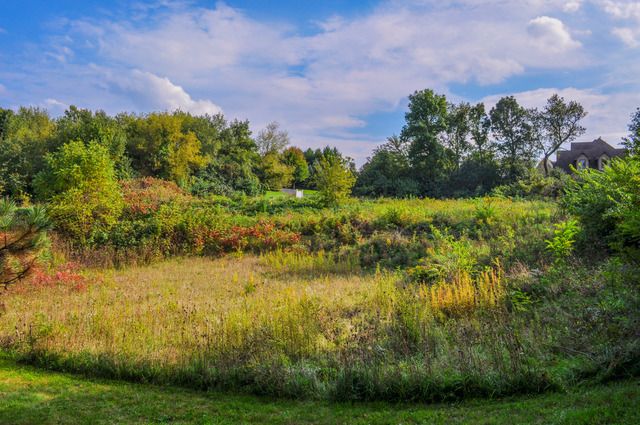 4353 Carlisle Drive — Crystal Lake, IL 60012