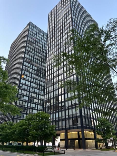 880 N Lake Shore Drive #3H — Chicago, IL 60611