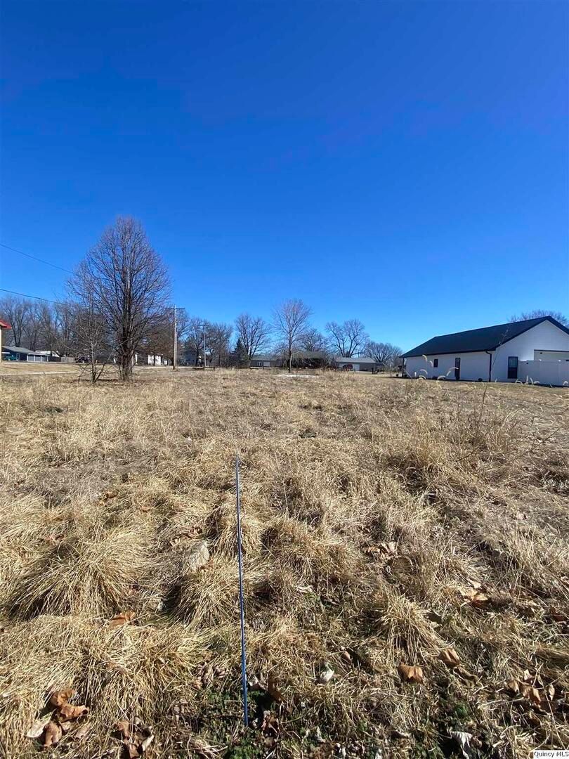 1711 E 1324th Lot 4 — Fowler, IL 62338