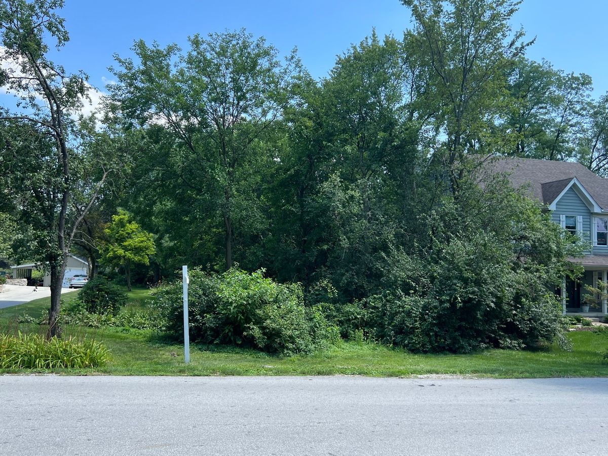 Lot 22 Sherman Avenue, Downers Grove, IL 60515