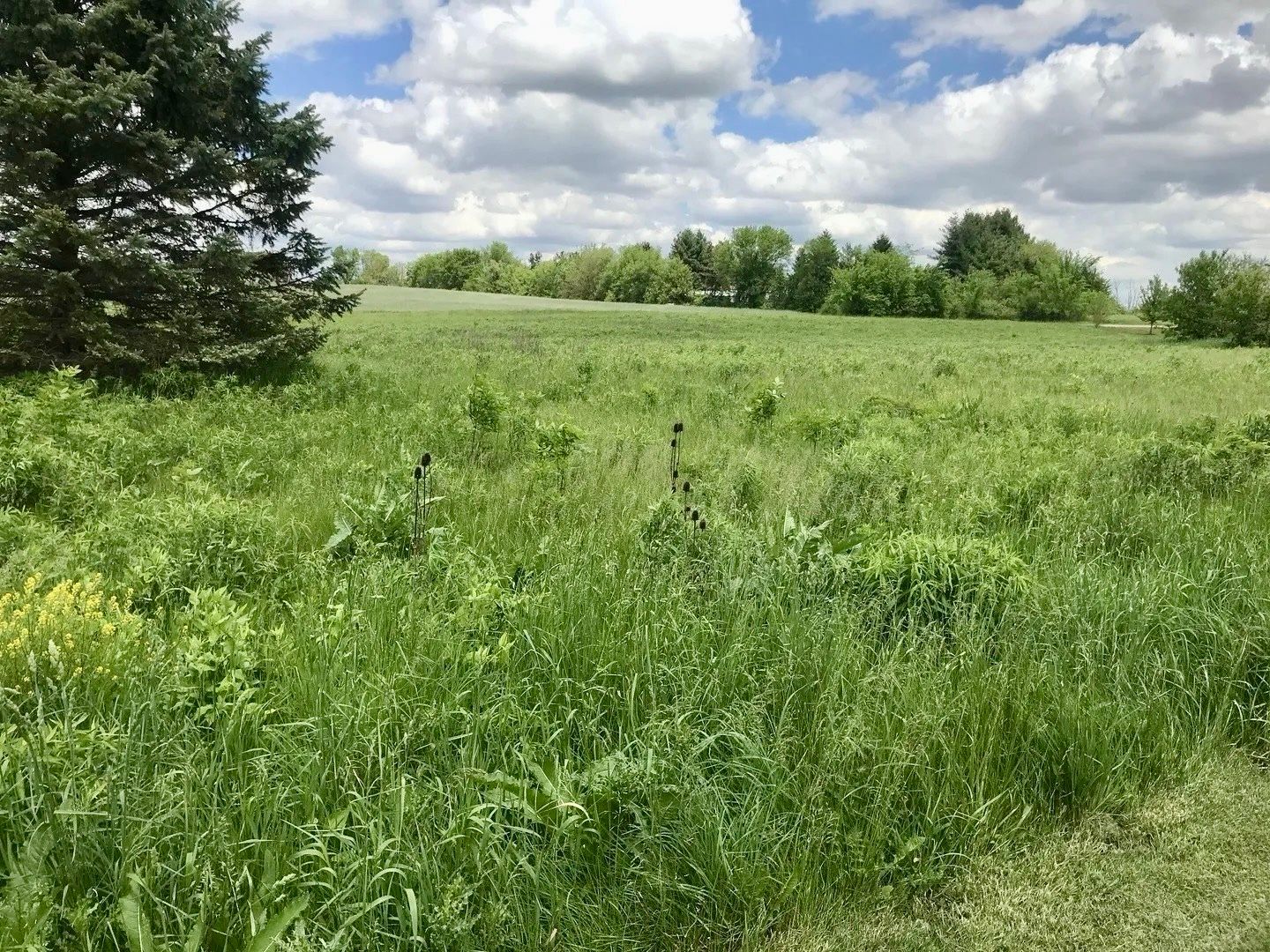 0 Lot 2 Ratfield Road — Marengo, IL 60152