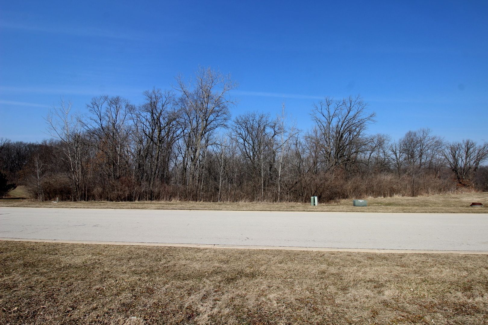 1193 Georgias Way — New Lenox, IL 60451