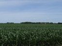 000 US Rt. 20, Winnebago, IL 61088