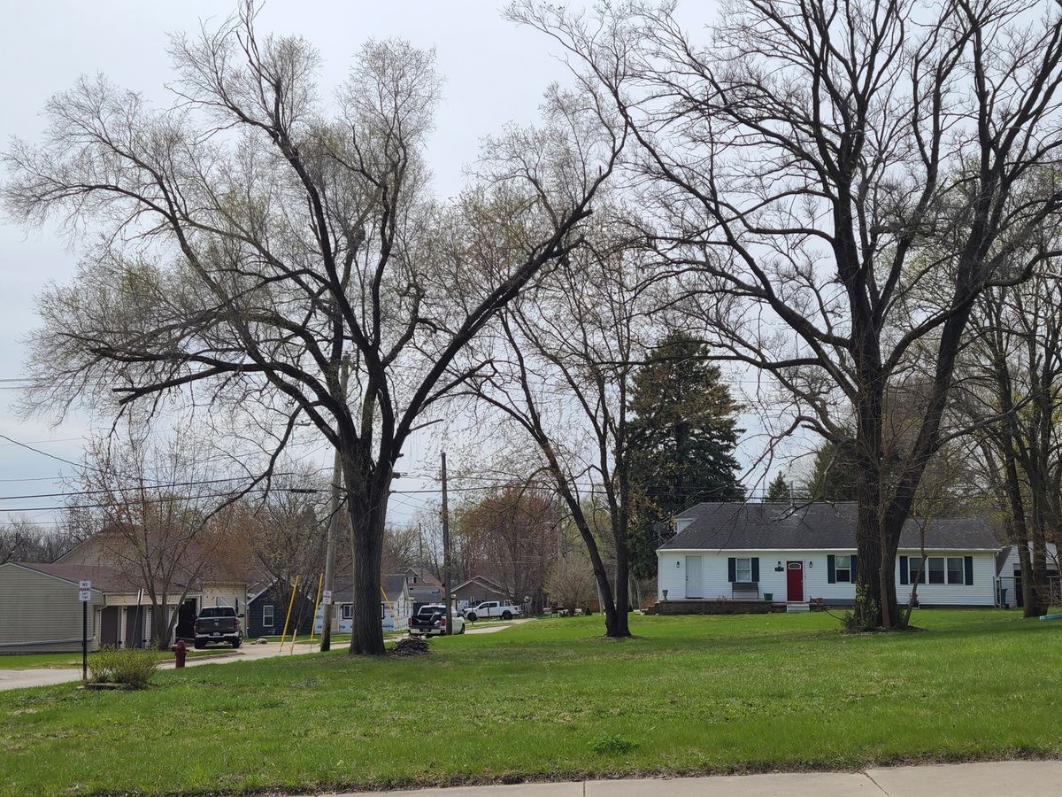 Lot 1 Watson Avenue, Oglesby, IL 61348