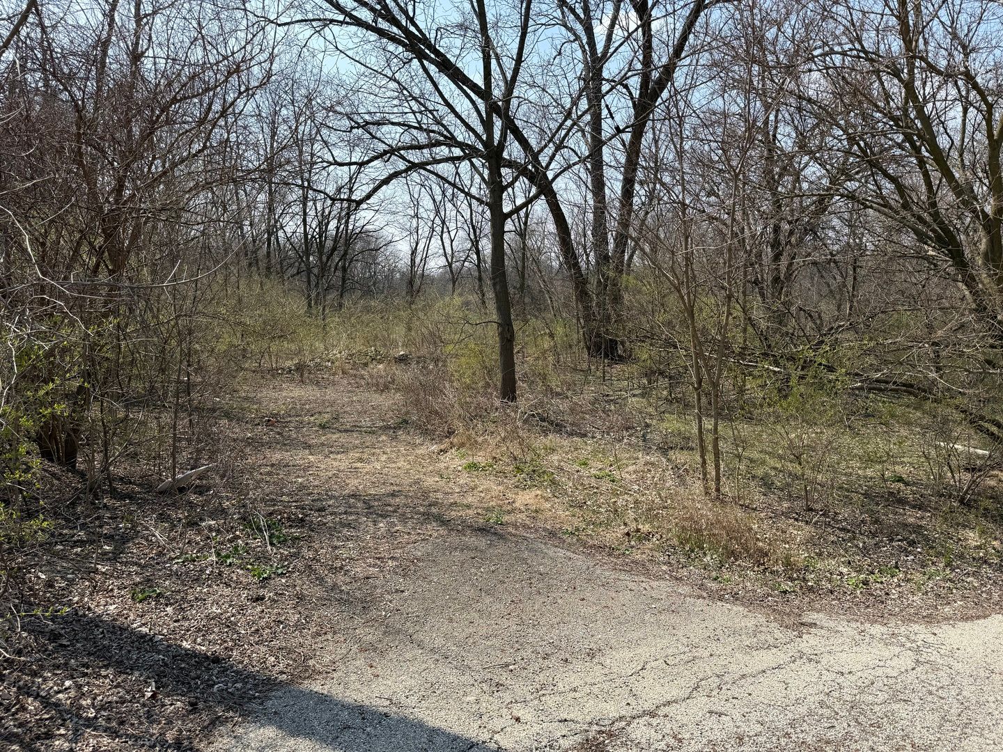 123 W Benton Street — Oswego, IL 60543
