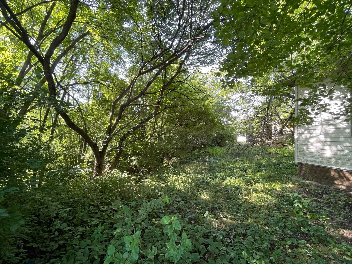 608 S Elm Street, Villa Grove, IL 61956