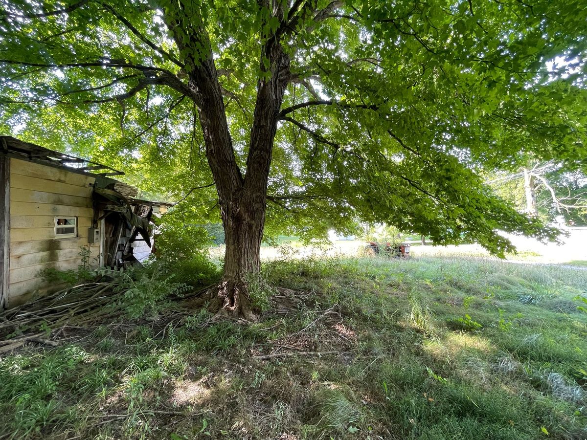 608 S Elm Street, Villa Grove, IL 61956