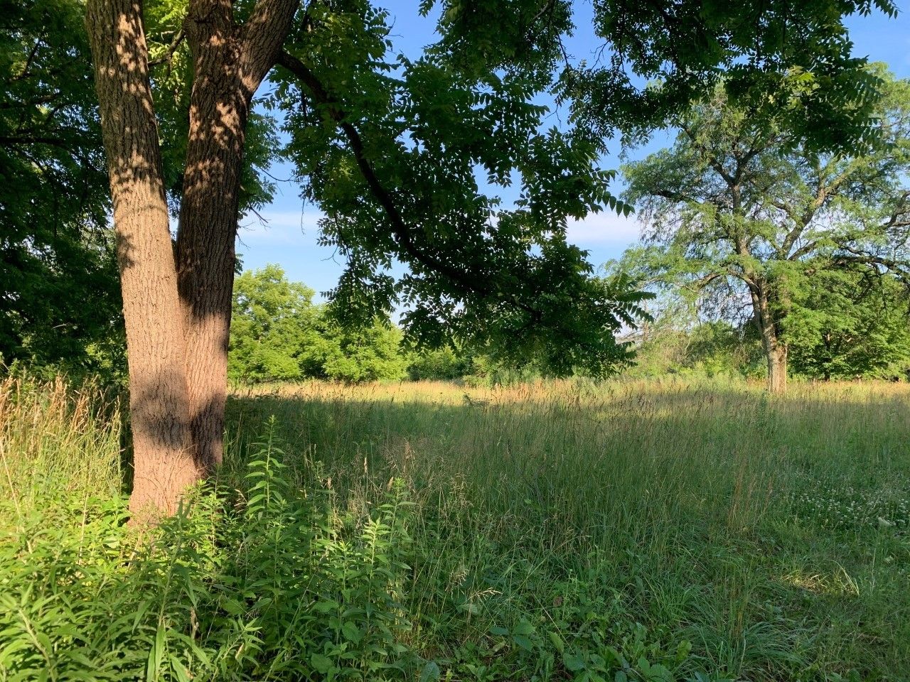3523 Long Grove Road — Long Grove, IL 60047