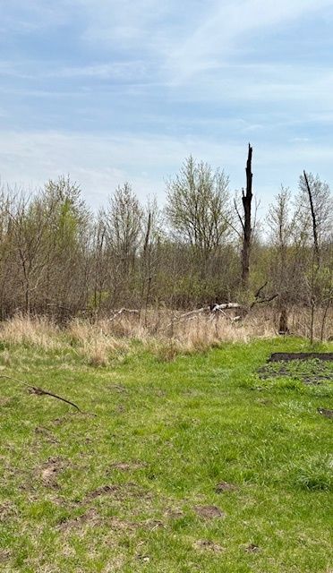 14/33 Woodhaven, Sublette, IL 61367