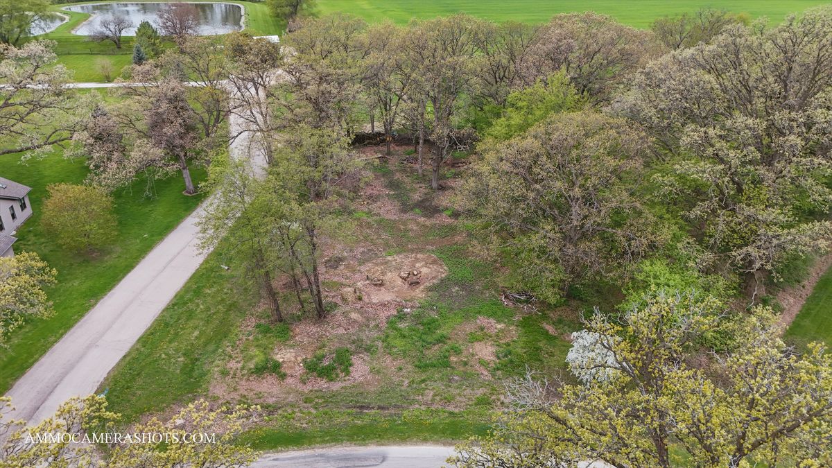 Lot 3 Ellwood Greens Road, Genoa, IL 60135