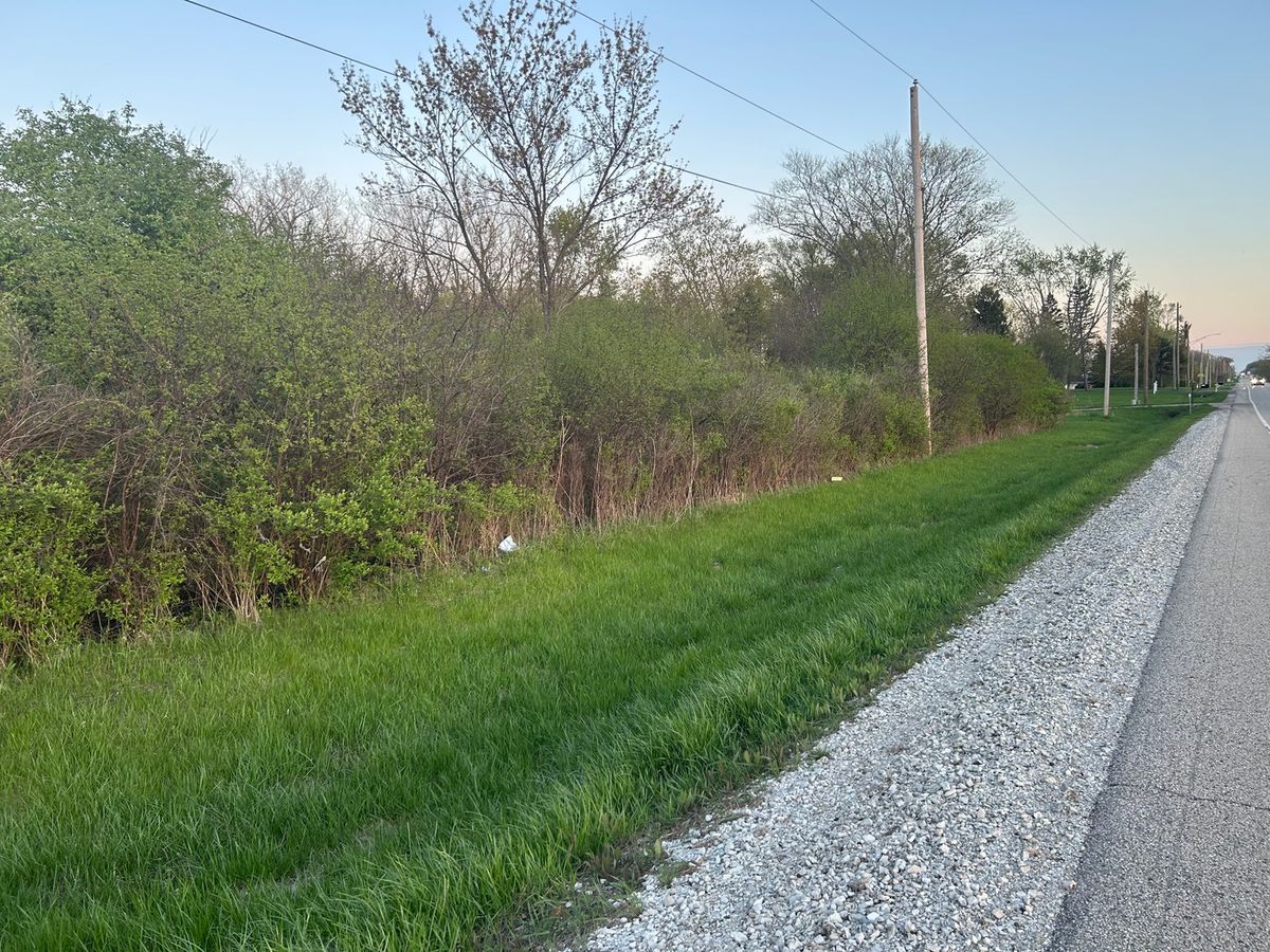 40827 Delany Road, Wadsworth, IL 60083