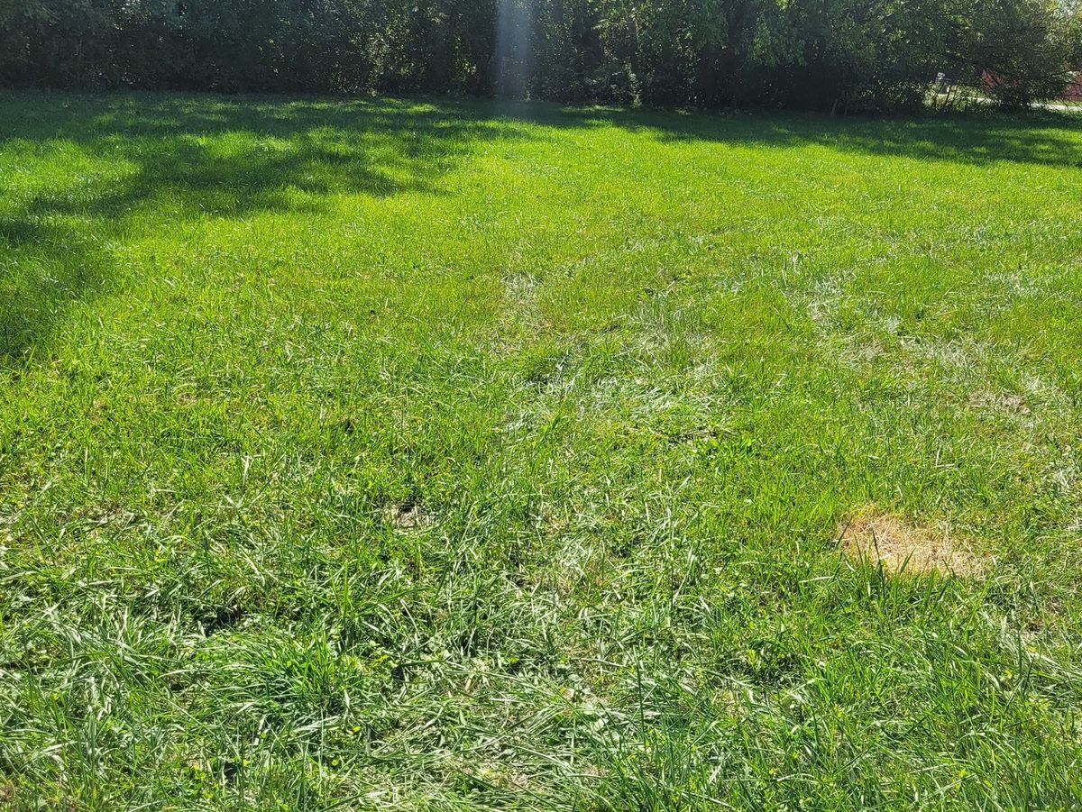 3743 140 Street, Robbins, IL 60472