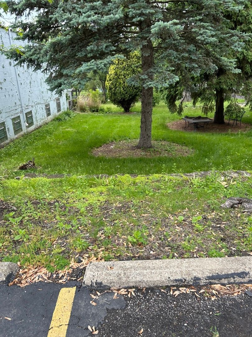 8422 Archer Avenue, Willow Springs, IL 60480