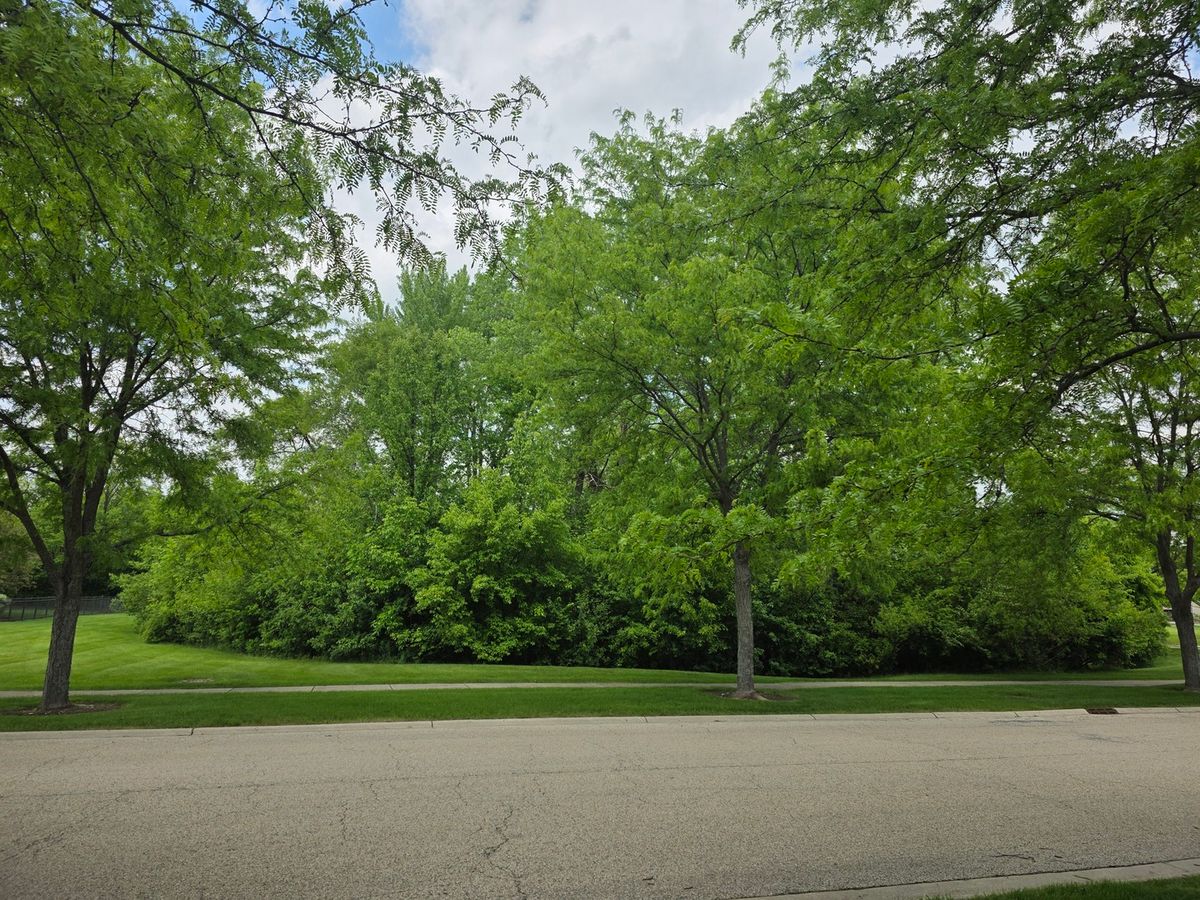 1074 - 1078 Sante Fe Stre Street, Bartlett, IL 60103