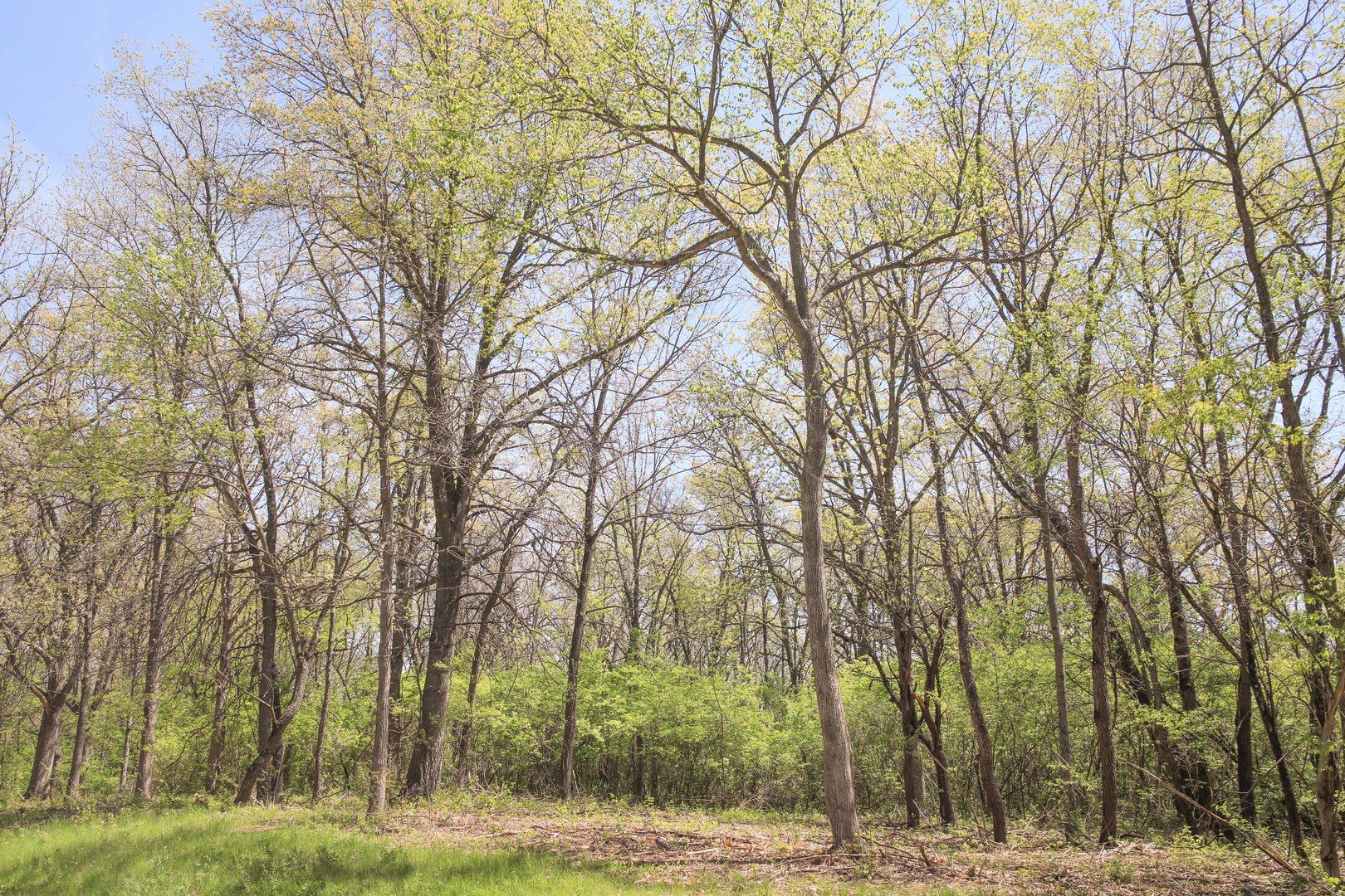 704 Echo (Lot 21) Trail — Marengo, IL 60152