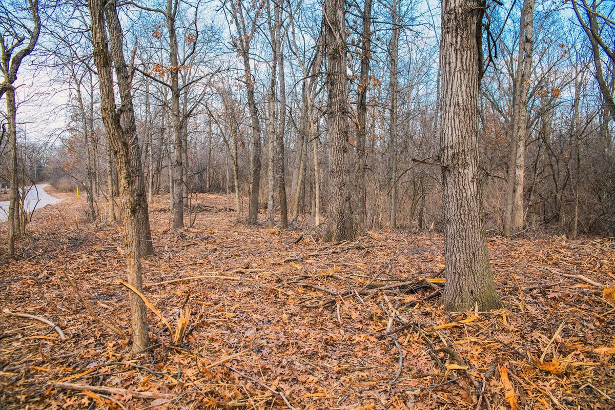 806 Echo (Lot 22) Trail, Marengo, IL 60152