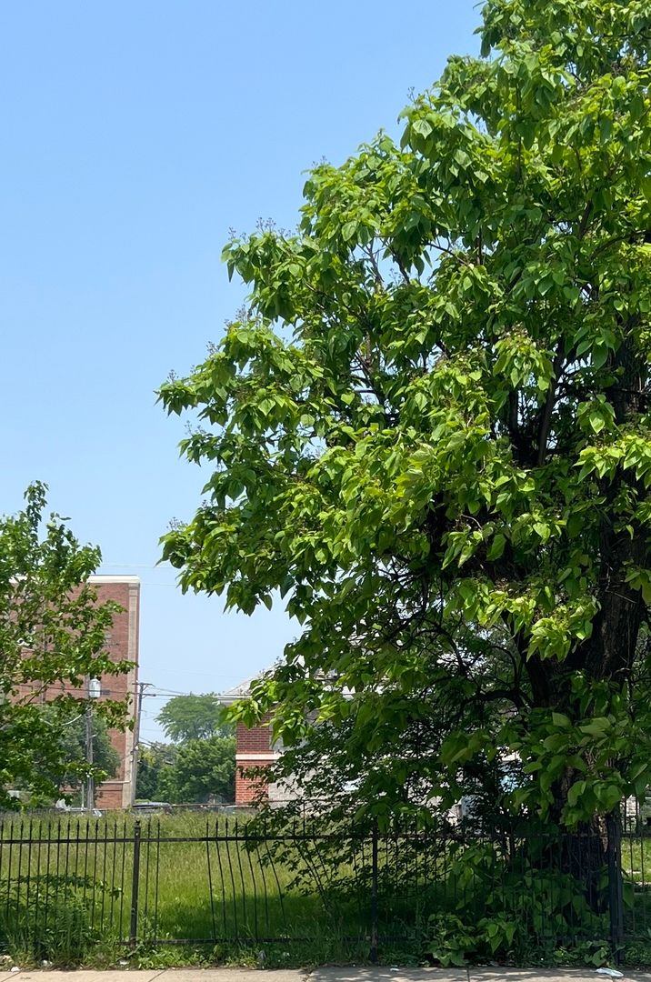 3334 W Warren Boulevard — Chicago, IL 60624
