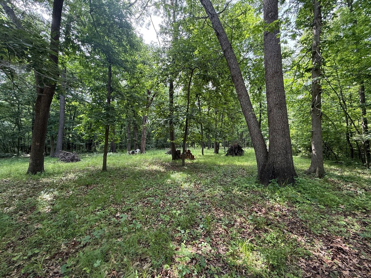 Lot 235 Lake Thunderbird Drive, Tiskilwa, IL 61368