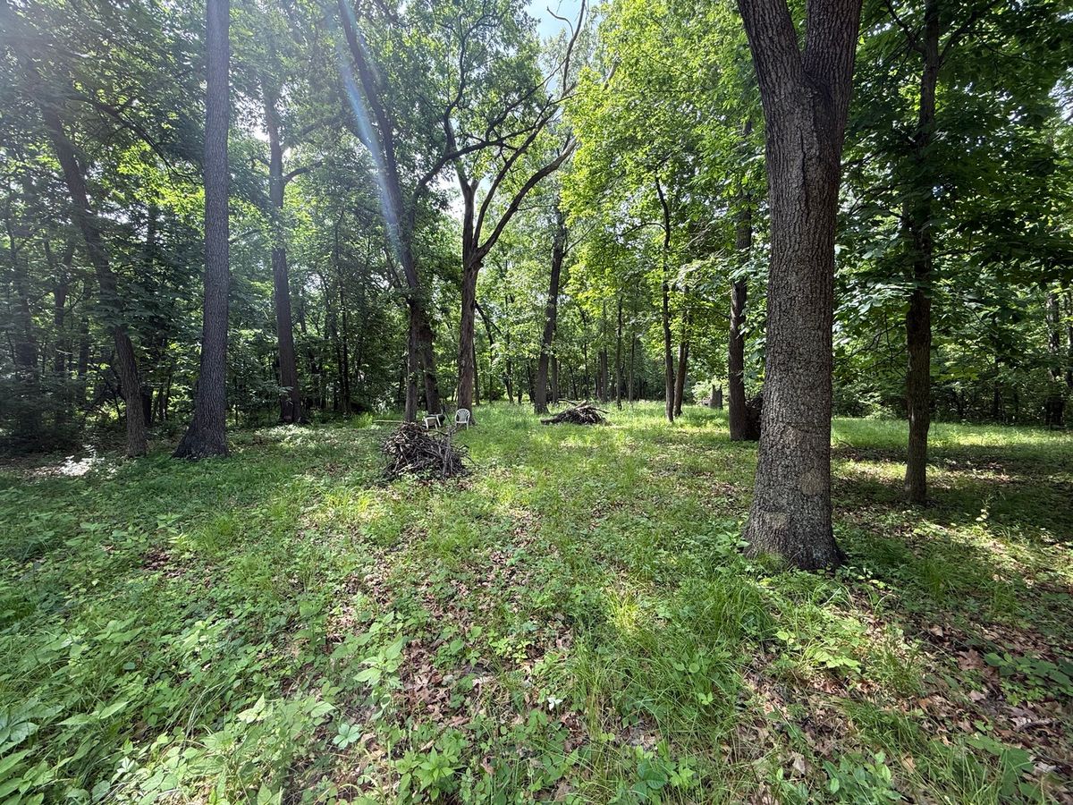 Lot 235 Lake Thunderbird Drive, Tiskilwa, IL 61368