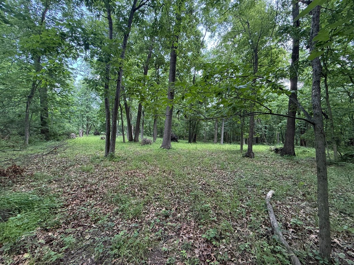 Lot 235 Lake Thunderbird Drive, Tiskilwa, IL 61368