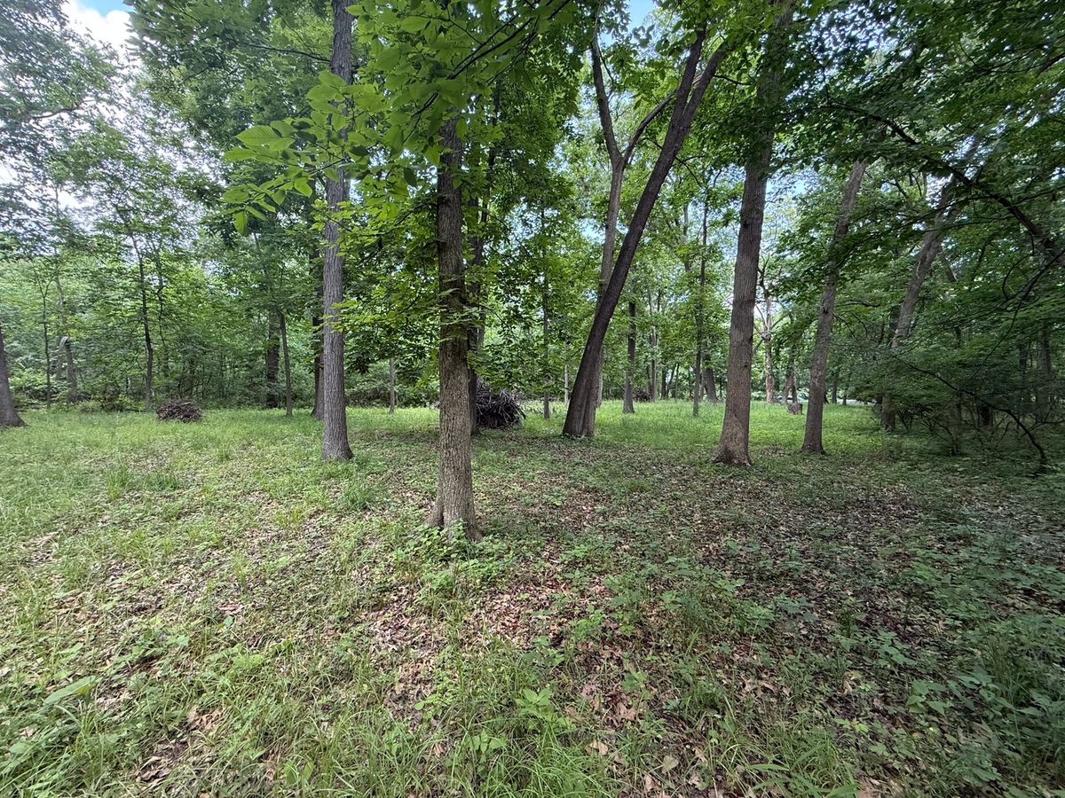 Lot 235 Lake Thunderbird Drive, Tiskilwa, IL 61368
