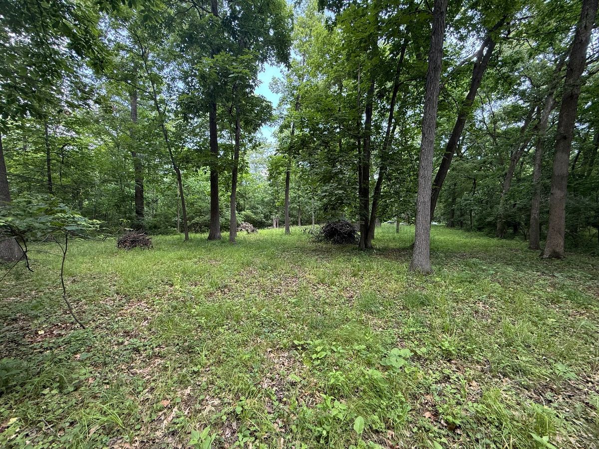 Lot 235 Lake Thunderbird Drive, Tiskilwa, IL 61368