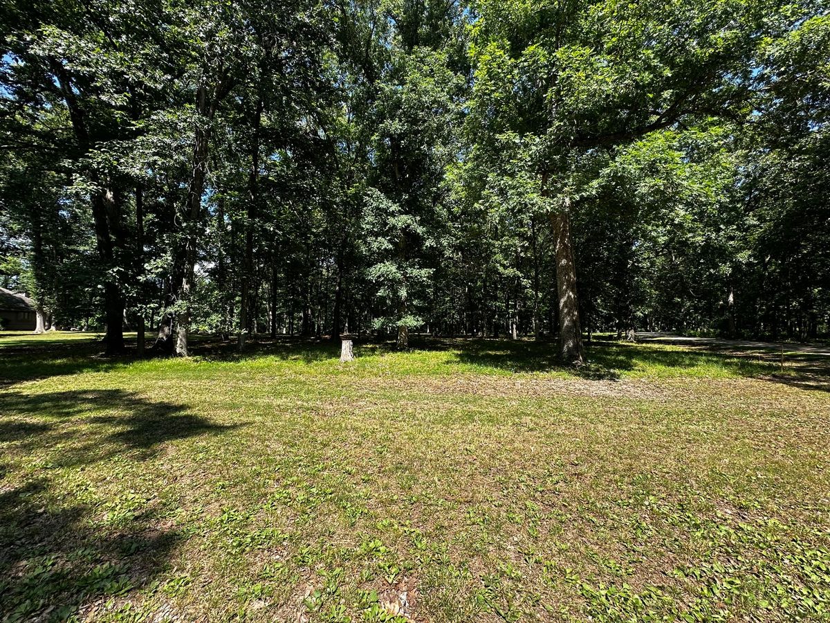 220 Beyers Lake Est, Pana, IL 62557