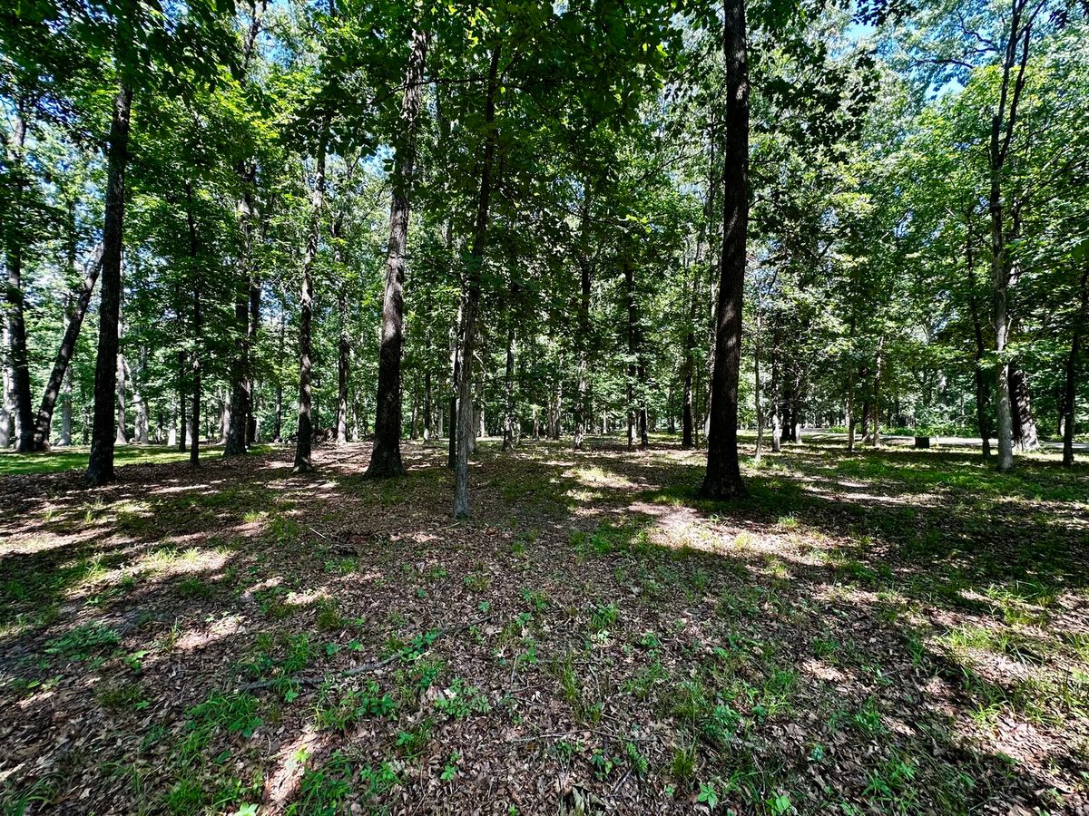 220 Beyers Lake Est, Pana, IL 62557