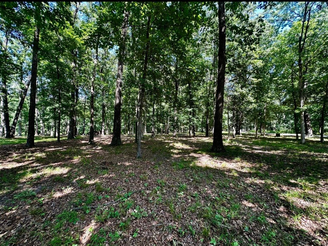 220 Beyers Lake Est, Pana, IL 62557