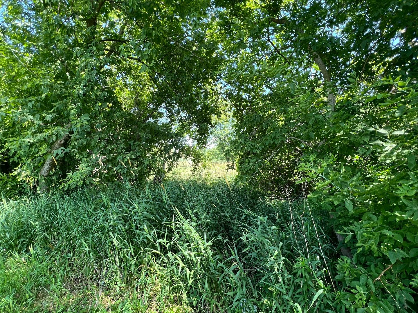 35025 N Ingleside Drive — Ingleside, IL 60041