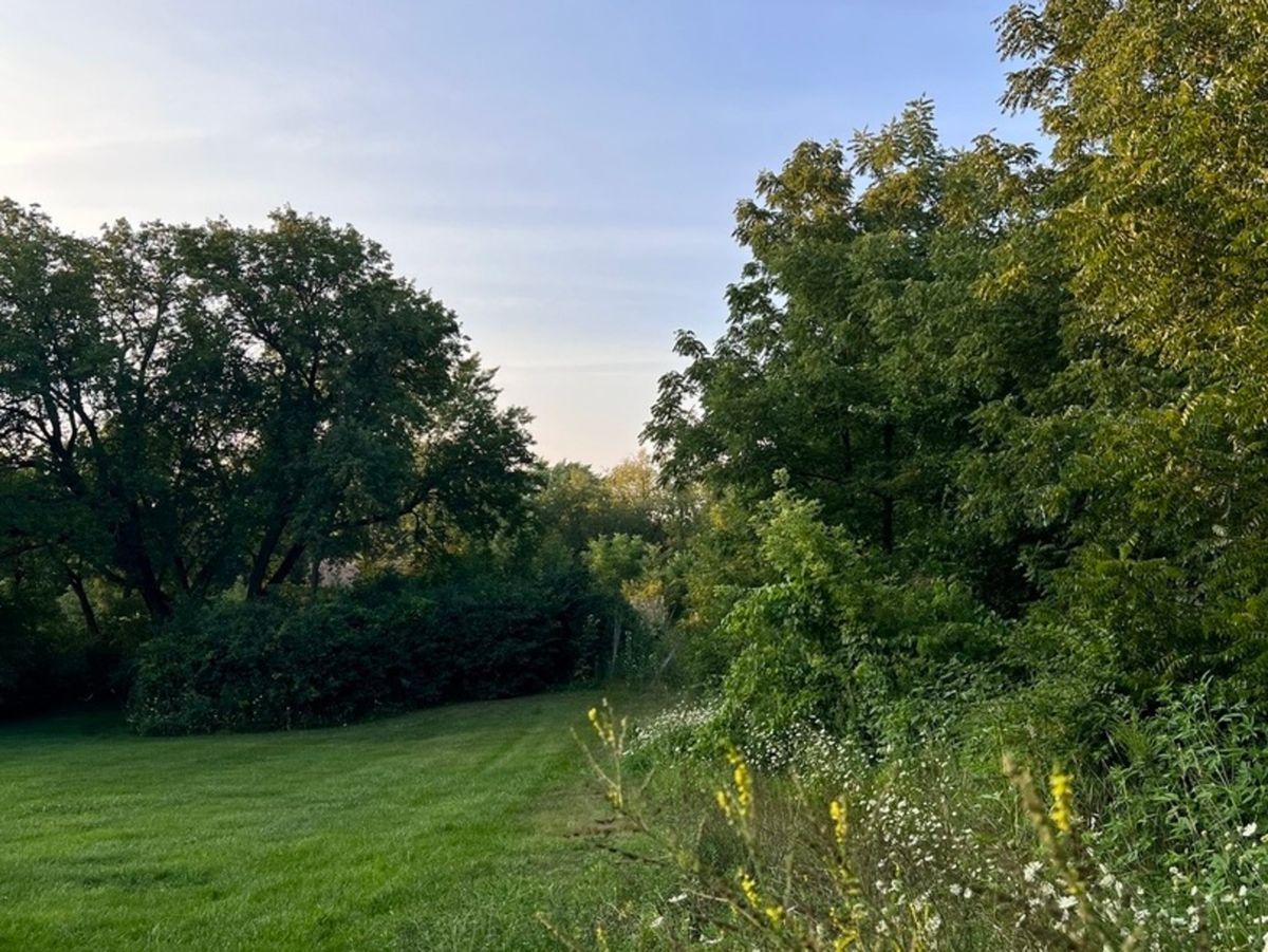 650 George Street, Barrington, IL 60010