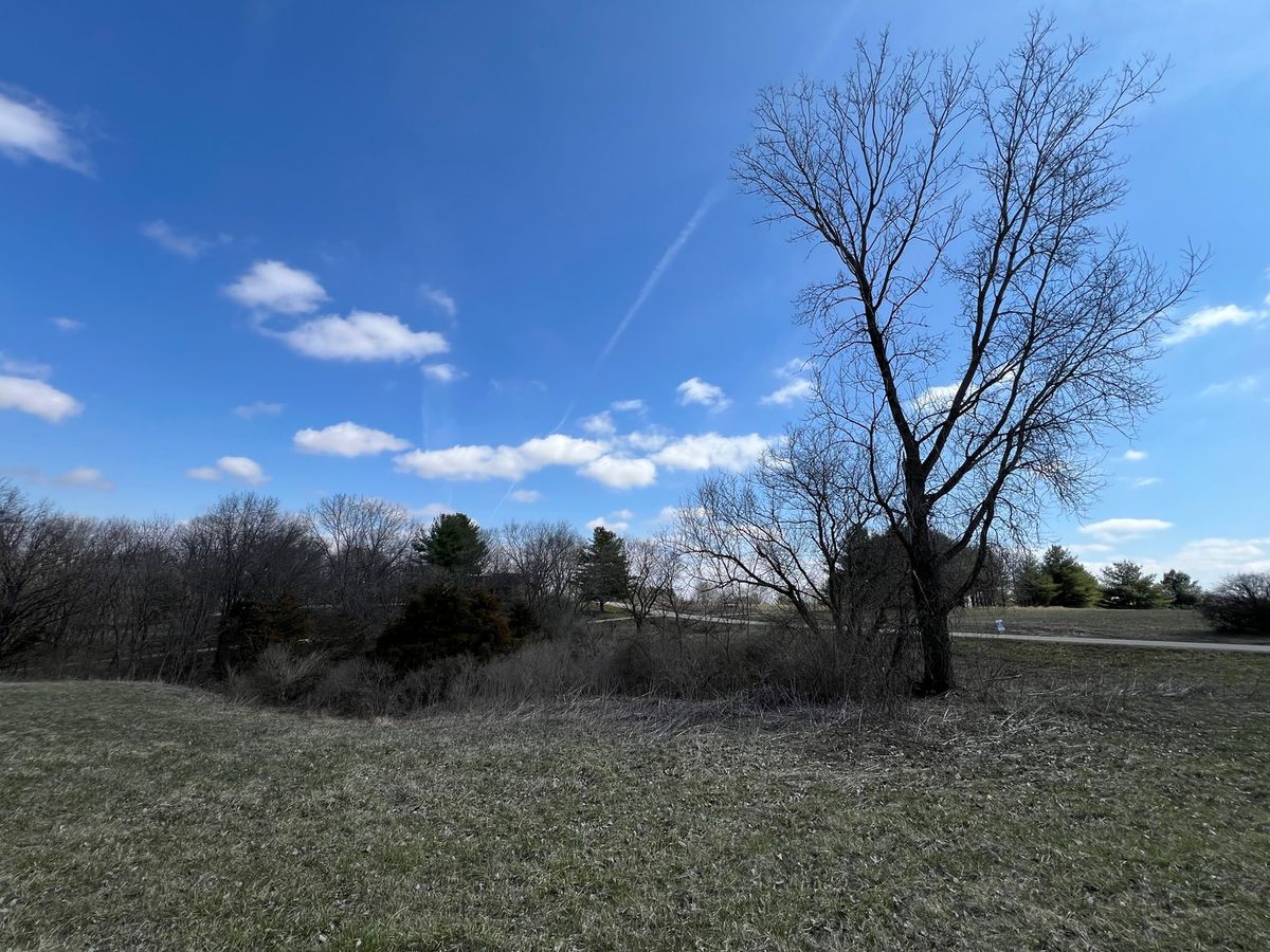 226 Fox Court, Apple River, IL 61001